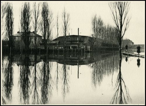 [A Duna áradása Budafoknál, 1941. február] [Fénykép] / P.
