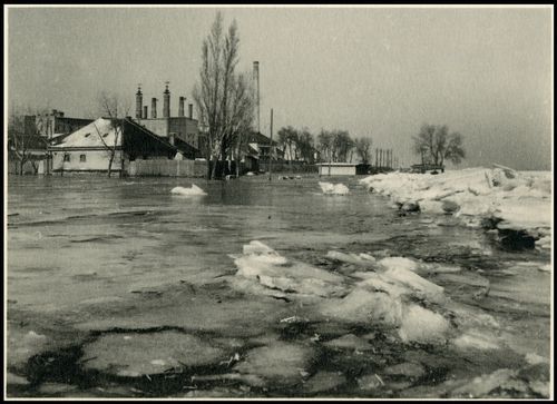 [A Duna áradása Budafoknál, 1941. február] [Fénykép]