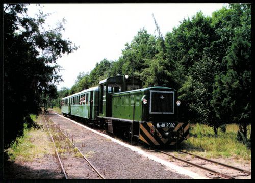 A Zsuzsi Erdei Vasút Közhasznú Társaság Mk 48.2002 pályaszámú mozdonya 1996. július, Erdészlak m.h-e...