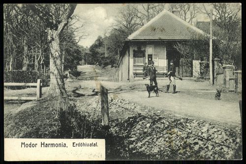 Modor Harmonia Erdőhivatal