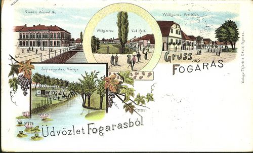 Üdvözlet Fogarasból; Ferenc József tér; Vadkert; Vadkert; Vár tója