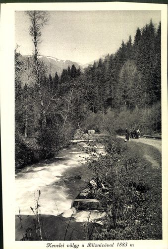 Kárpátok; Rahó környéke. Kevelei völgy a Bliznicával 1883 m.