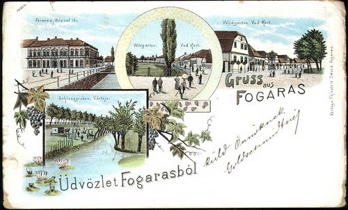 Gruss aus Fogaras. Ferenc József tér; Vad-kert; Vár tója