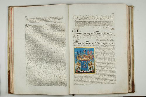 Királyi Könyvek - 51.48 (Mária Terézia - Bécs - 1779.01.22 - birtok átruházása)