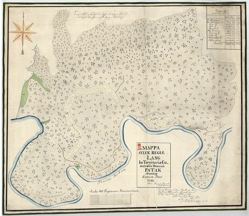 Mappa sylvae regiae Lang in territorio cameralis dominii Pat... [S 11 - No. 160/a:2.]