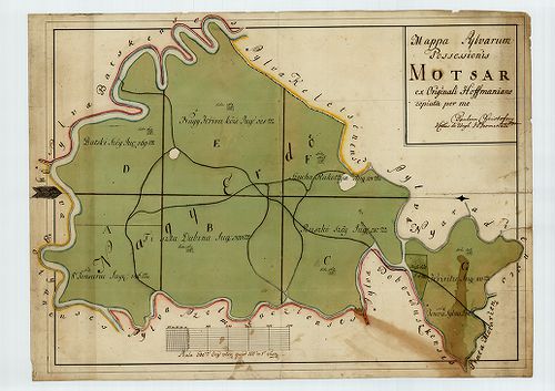 Mappa Sylvarum Possessionis Motsar [S 12 - Div. VIII. - No. 423.]
