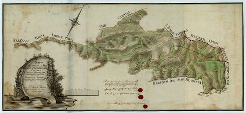 Mappa Sylvarum in Terreno Possessionis Czekocz ... Comitatui... [S 12 - Div. IX. - No. 203.]